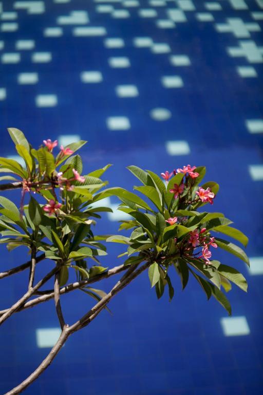 Palloma Hotel Kuta Kuta Lombok Dış mekan fotoğraf